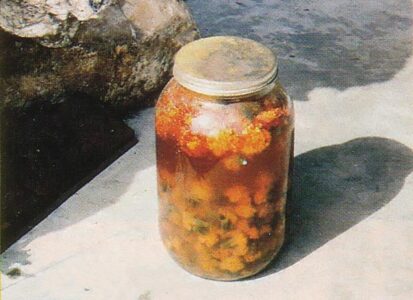 Easy Solar Dyeing Image
